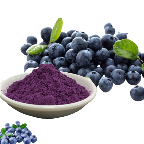 Gymnema Sylvestre — planta com flores brancas