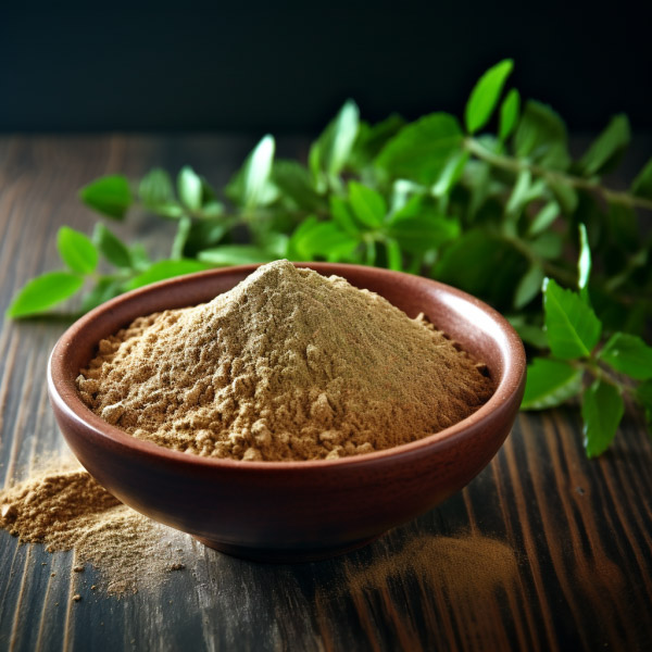 Grape Seed Extract
